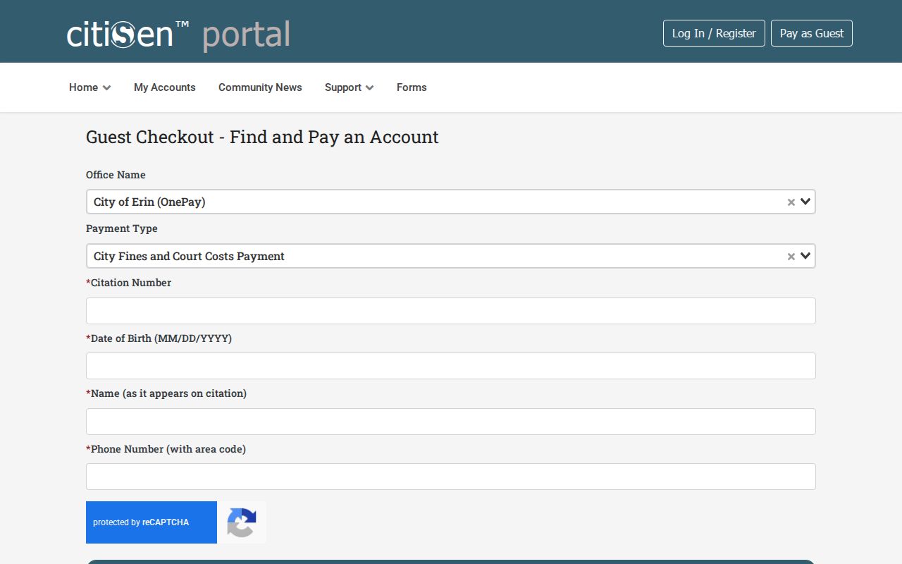 Erin court docket payment portal shown as a payment-only route